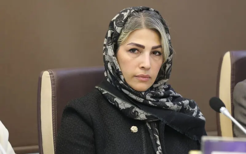 مریم نجفی دبیر انجمن تجارت الکترونیک